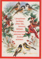 PÁJARO Animales Vintage Tarjeta Postal CPSM #PAM817.ES - Vogels