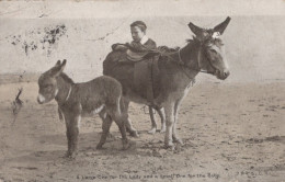 BURRO Animales Niños Vintage Antiguo CPA Tarjeta Postal #PAA336.ES - Ezels