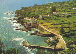 AÇORES, SÃO MIGUEL - Vista Da CALOURA  (2 Scans) - Açores