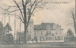 AALTER     LE CHATEAU DE NOBELSTEDE                    ZIE SCANS - Aalter