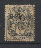 SYRIE - 1920 - N°YT. 45 - Type Blanc 25c Sur 1c Gris - Oblitéré / Used - Used Stamps