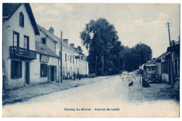 CPA 53 - MESLAY DU MAINE (Mayenne) - Avenue De Laval - Ed. Breger Freres - Meslay Du Maine