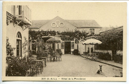 CP Non écrite * JOUY (Eure Et Loir) Hôtel De La Providence ( Avec Le Chien )  Photo L. Aubert - Jouy