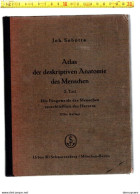 BOEK 003 Atlas Der Deskriptiven Anatomie Des Menschen. 2Teil. Die Eingeweide Des Menschen EinschileBlich Des . Elfte Auf - Other & Unclassified