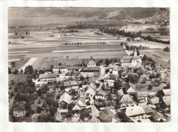 CPM. 15 X 10,5  -  DOUSSARD  -  Vue  Panoramique Et Le Lac - Doussard