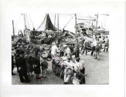 LE CROISIC . DECHARGEMENT DU POISSON SUR LE PORT . 1957 - Lieux