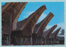 A Row Of Traditional Houses At Palawa Tana Toraja, South Sulawesi - Indonesien