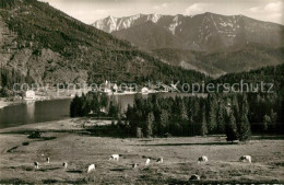 73608517 Spitzingsee Panorama Blick Gegen Sonnwendjoch Mangfallgebirge Spitzings - Schliersee