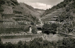 73608491 Walporzheim Felsidyll Bunte Kuh Weinhaus Restaurant Im Ahrtal Walporzhe - Bad Neuenahr-Ahrweiler