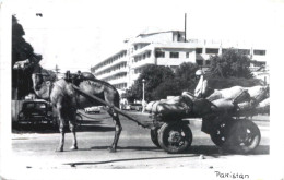 Pakistan - Pakistan