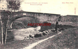 CPA TOULON - ENVIRONS - LE GAPEAU - MOUTONS AU PATURAGE - Toulon