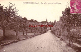 CPA CHAMPIGNELLES - YONNE - ROUTE DE GRANCHAMP - Autres & Non Classés