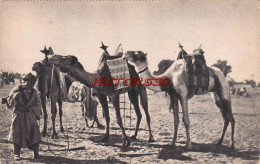 CPA AFRIQUE - AU SAHARA - Western Sahara