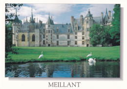 18, Le Château De Meillant - Meillant