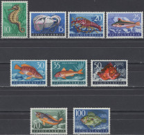 Yugoslavia - Set Of 9 - Adriatic Sea Fauna - Mi 795~803 - 1956 - MNH - Ungebraucht