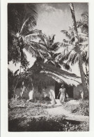 Antilles . Trinidad . B.W.I . Ian Hut . Couva . Edit : Wilson & Johnstone - Trinidad