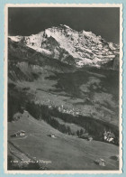 Jungfrau & Wengen - Wengen