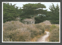 WHALERS CABIN - POINT LOBOS STATE RESERVE - CALIFORNIA - USA - - Other & Unclassified