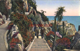 CPA MONACO - LES JARDINS EXOTIQUES - Other & Unclassified