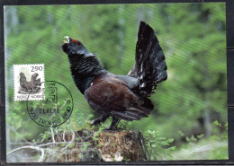 NORWAY NORGE NORVEGIA NORVEGE 1988 1890 FAUNA CAPERCAILLIE 2.90k MAXI MAXIMUM CARD - Tarjetas – Máximo