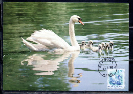 NORWAY NORGE NORVEGIA NORVEGE 1988 1890 FAUNA MUTE SWAN 3.20k MAXI MAXIMUM CARD - Tarjetas – Máximo