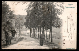 CP-BEL-32 : Belgique > Entrée De Pussemange / NB 1903 - Andere & Zonder Classificatie