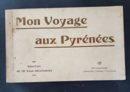 Carnet 36 Cpa Mon Voyage Aux Pyrenées Complet BE, édit Labouche - Sonstige & Ohne Zuordnung