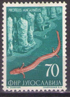 Yugoslavia 1954 - FAUNA - Mi 748 - MH* - Nuovi