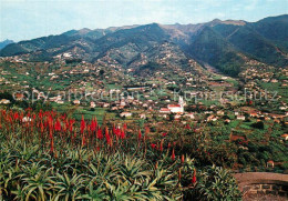 73604485 Ilha Da Madeira Pico Dos Barcelos Ilha Da Madeira - Altri & Non Classificati