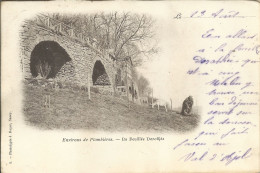 Environs De Plombières (88) - La Feuillée Dorothée - Plombieres Les Bains