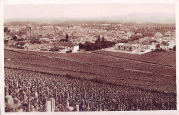 *CPA - 51 - AY En Champagne - Vue Générale - Vigne De Raisins Noirs - Cave Pommery Et Greno - Ay En Champagne