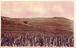 *CPA - 51 - CRAMANT - Vue Générale - Vigne De Raisins Blancs - Cave Pommery Et Greno - Andere & Zonder Classificatie