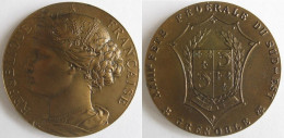 Médaille En Bronze. Grenoble 1914. 23eme Fête Fédérale Du Sud-Est. - Andere & Zonder Classificatie