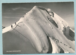 Piz Palü - Mittelspitze - Lavin