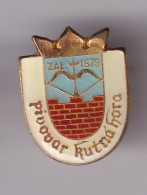 Pin's Blason Ecusson PIVOQUAR KUTNA HORA Réf 8656 - Villes