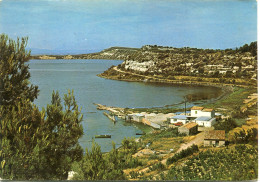 SIGEAN - VUE GENERALE Sur L' ETANG En 1972  - - Sigean