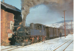 Trains -- La Locomotive A Voie Etroite 99.1606-5 ( 750 Mm )avec Un Train Omnibus Dans La Station De Steinbach - Trenes