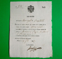 D-IT R. Lombardo Veneto 1847 Padova Inventario Eredità - Documents Historiques