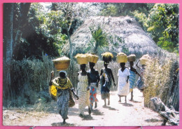 Sénégal - Retour Des Rizières - Très Bon état - Senegal