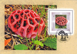 MUSHROOMS,CLATHRUS RUBER,2021 MAXICARD,CARTES MAXIMUM ROMANIA. - Paddestoelen