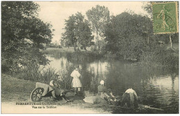 41 PIERREFITTE-SUR-SAULDRE. Lavandières Laveuses 1920 - Autres & Non Classés