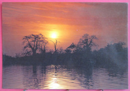 Visuel Très Peu Courant - Sénégal - Coucher Du Soleil - Senegal