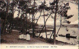 Bénodet   P3          Le Bois De Sapins De Malakoff - Bénodet