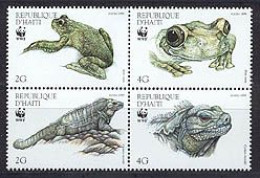 HAITI 1999 - W.W.F. - Reptiles - Iguane Et Grenouille - 4 V.  - Nuovi