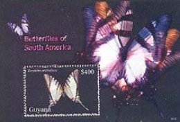 GUYANE 2006 - Papillons -  Bloc I - Eurytides Protsileus - Vlinders