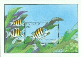 GRENADA 1990 - Poissons II - BF (Abudedul Saxatilus) - Poissons