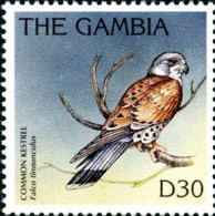 GAMBIE 1996 - Série Courante: Oiseaux - Faucon 30 D - 1 V. - Gambia (1965-...)