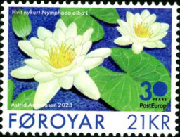 FEROES 2023 - Flore: Le Nénuphar Blanc - 1 V. - Faroe Islands