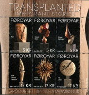FEROES 2021 - Histoires D'immigrants - Transplantation - BF - Färöer Inseln