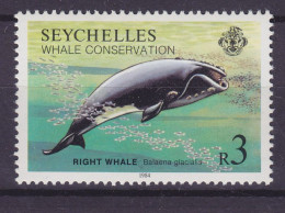 Seychelles 1984 Mi. 573, 3 R, Right Whale Glattwal, MNH* - Seychellen (1976-...)